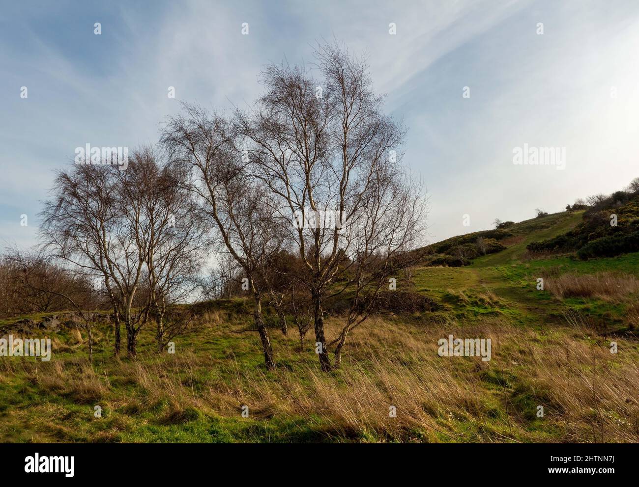 Paysage Arthur Seat, Édimbourg, Écosse, Royaume-Uni Banque D'Images