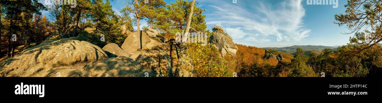 Panorama d'automne dans les montagnes rocheuses. Arbres dans une palette de couleurs. Banque D'Images