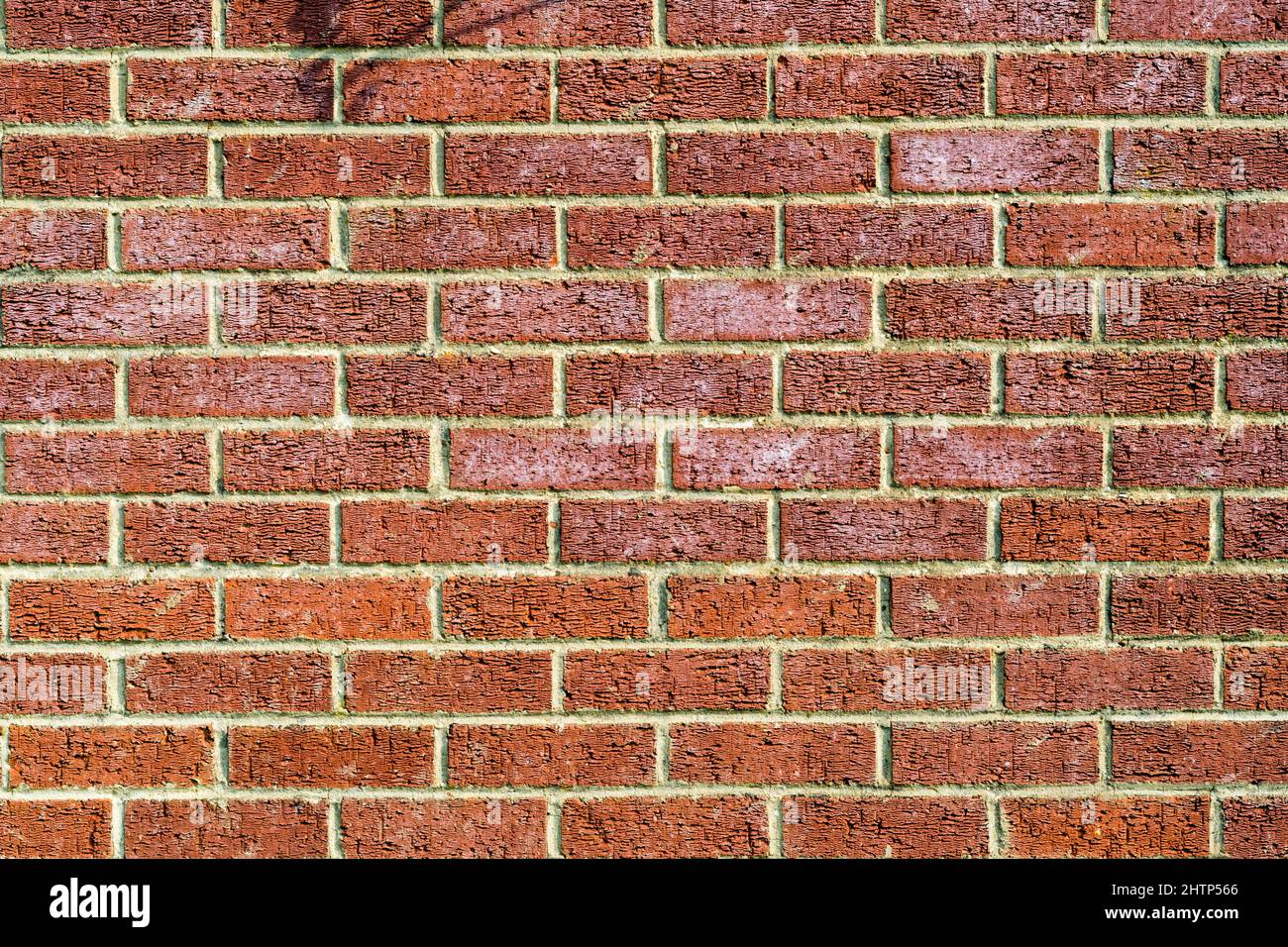 Briques Ibstock posées dans un lien courant pour former le mur d'un garage. Banque D'Images