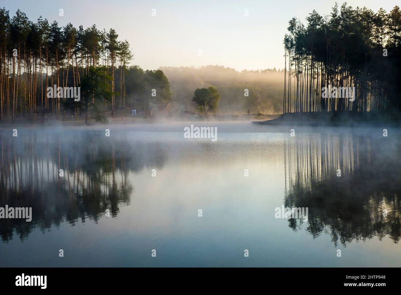Brume matinale et brouillard lacustre se levant sur des réflexions de pins sur le lagon Krasnobrod de la rivière WIEPRZ en Pologne Banque D'Images