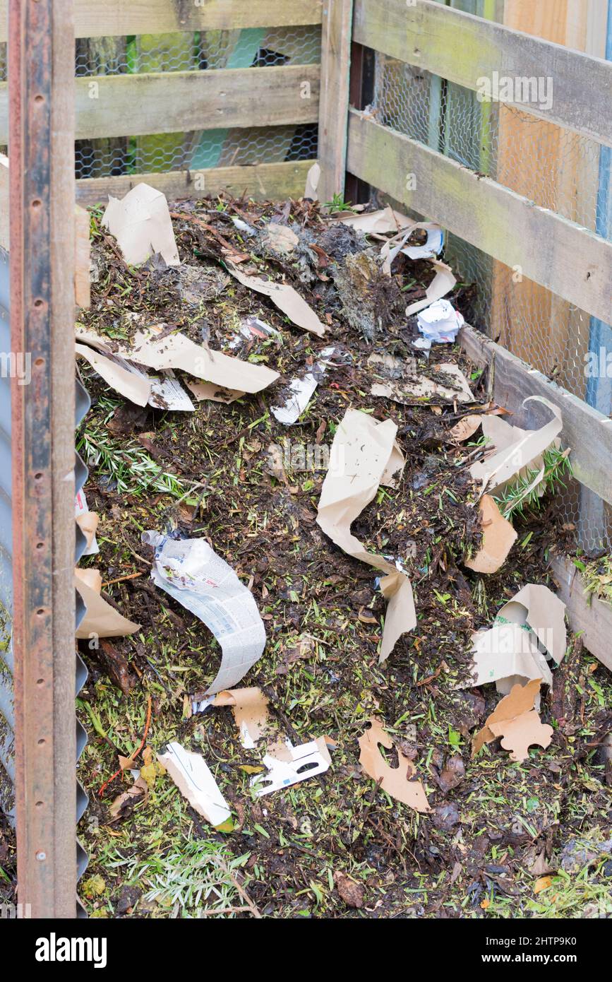 Des morceaux de papier déchirés ont été ajoutés à un grand tas de compost anaérobie (froid) fraîchement transformé dans une cour à Sydney, en Nouvelle-Galles du Sud, en Australie Banque D'Images