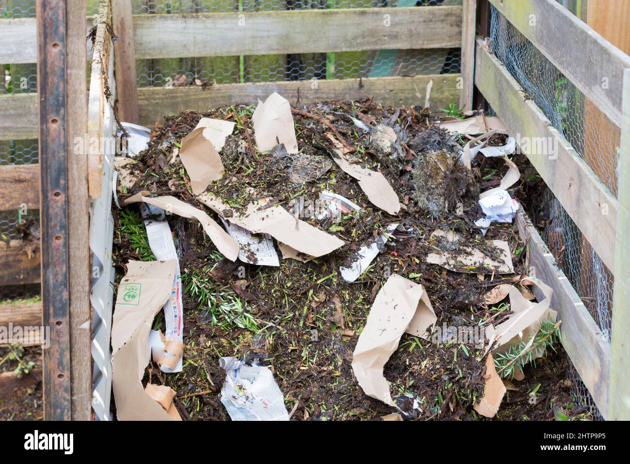 Des morceaux de papier déchirés ont été ajoutés à un grand tas de compost anaérobie (froid) fraîchement transformé dans une cour à Sydney, en Nouvelle-Galles du Sud, en Australie Banque D'Images