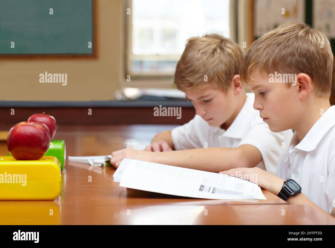Axé sur leurs études. Deux jeunes écoliers assis en classe et lisant leur travail. Banque D'Images
