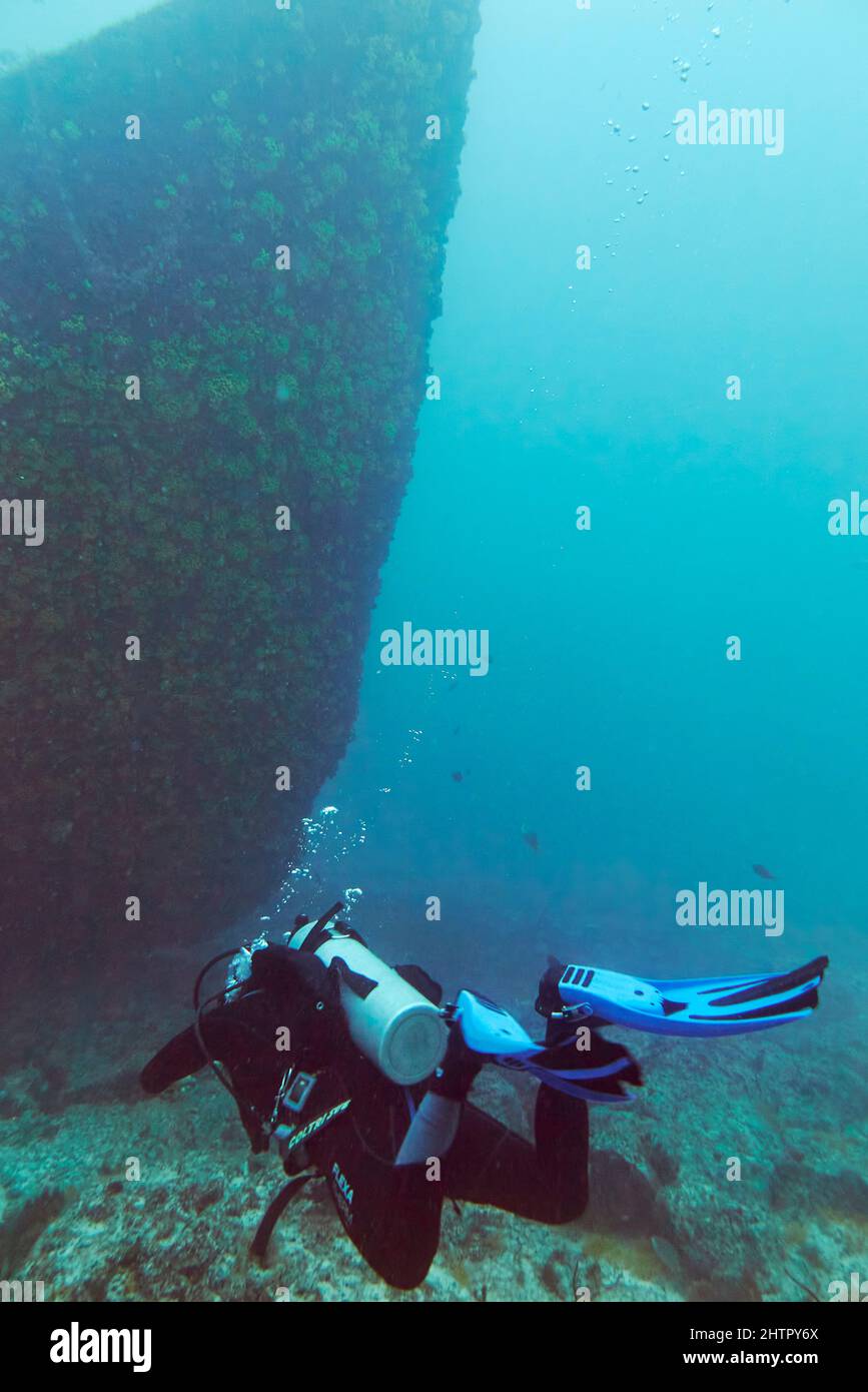 Plongée sous-marine sur l'épave de Kwarcit, côte sud-ouest de l'île de Sal, au Cap-Vert. Banque D'Images