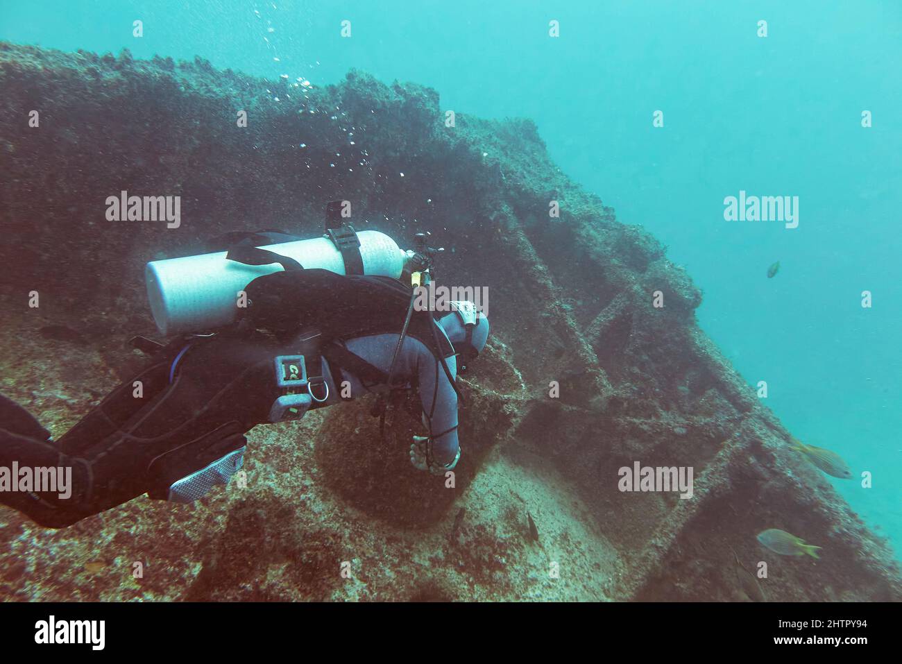 Plongée sous-marine sur l'épave de Kwarcit, côte sud-ouest de l'île de Sal, au Cap-Vert. Banque D'Images