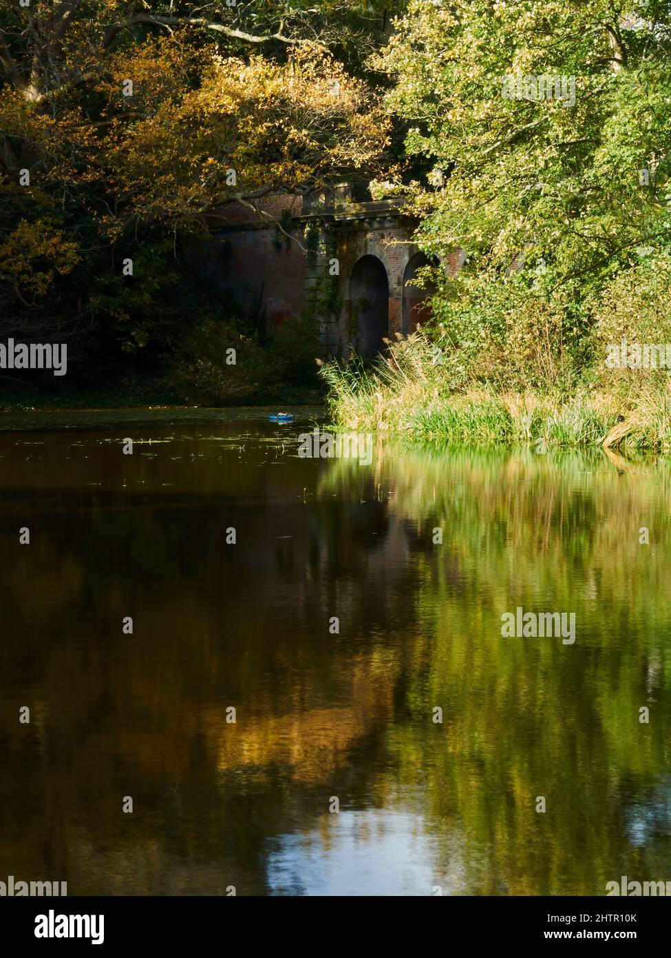 Vue riche, saturée et ensoleillée sur le viaduc de Hampstead avec la structure, les arbres et le ciel bleu profond reflété dans l'eau du lac. Banque D'Images