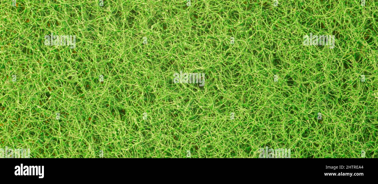 Texture éponge synthétique verte, arrière-plan texturé éponge de cuisine. Bannière verte Banque D'Images