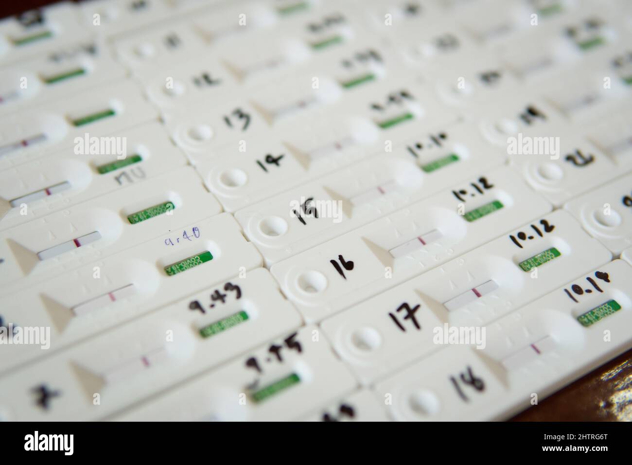 Kit de test rapide d'antigène ATK avec groupe de personnes résultat négatif pendant l'écouvillon pour la rentrée, le travail de bureau, l'université COVID-19 tests. Banque D'Images