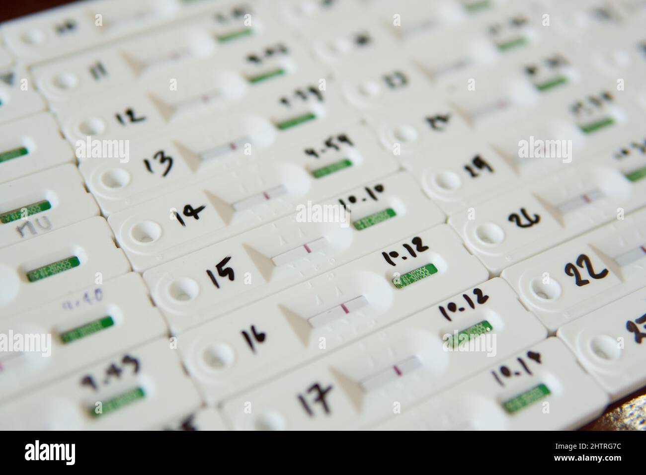 Kit de test rapide d'antigène ATK avec groupe de personnes résultat négatif pendant l'écouvillon pour la rentrée, le travail de bureau, l'université COVID-19 tests. Banque D'Images