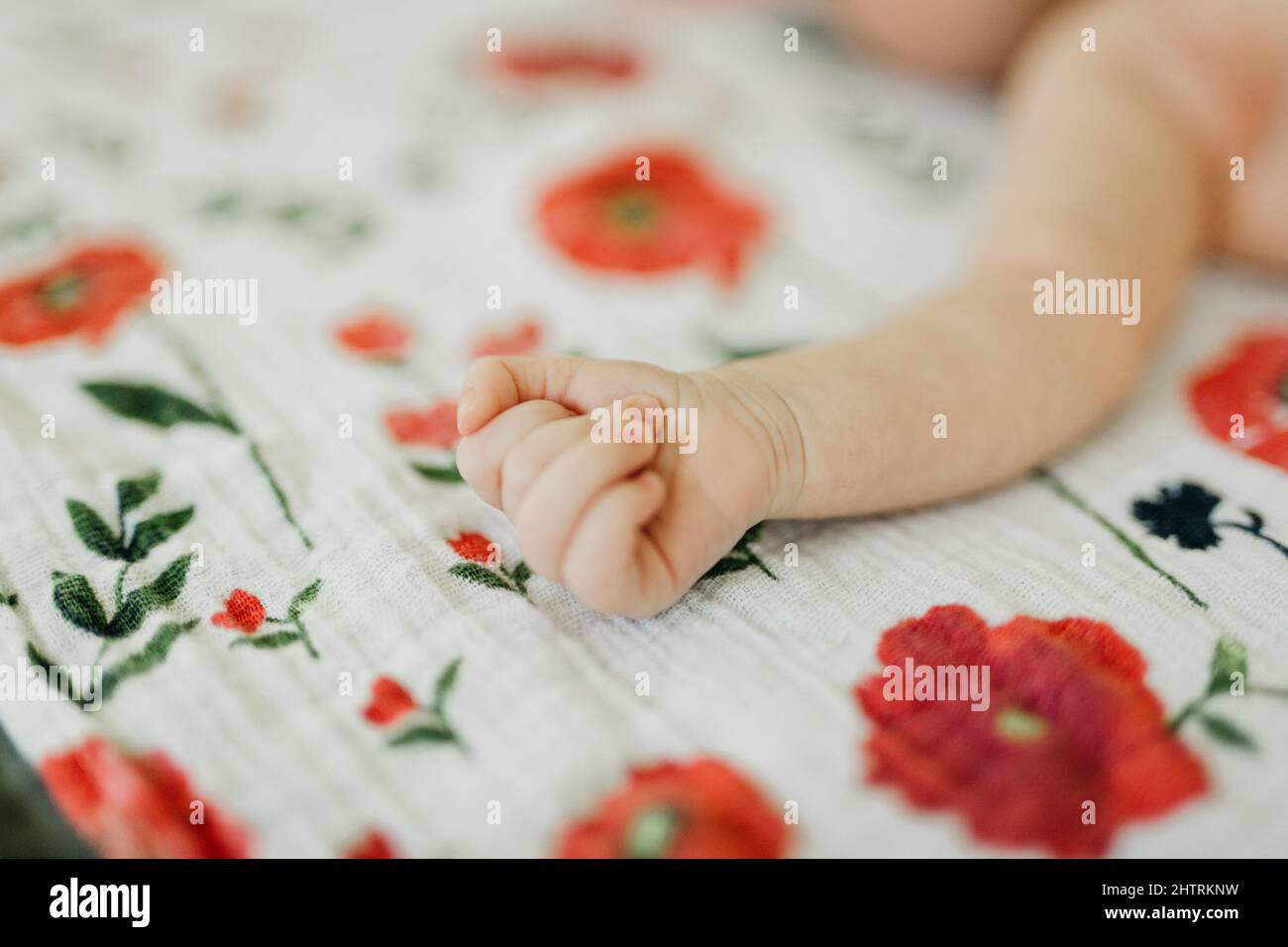 Bras nouveau-né étiré sur une couverture blanche à imprimé coquelicots rouges Banque D'Images