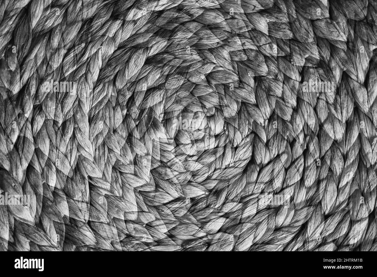 arrière-plan abstrait des fleurs et des plantes, double exposition multiple Banque D'Images