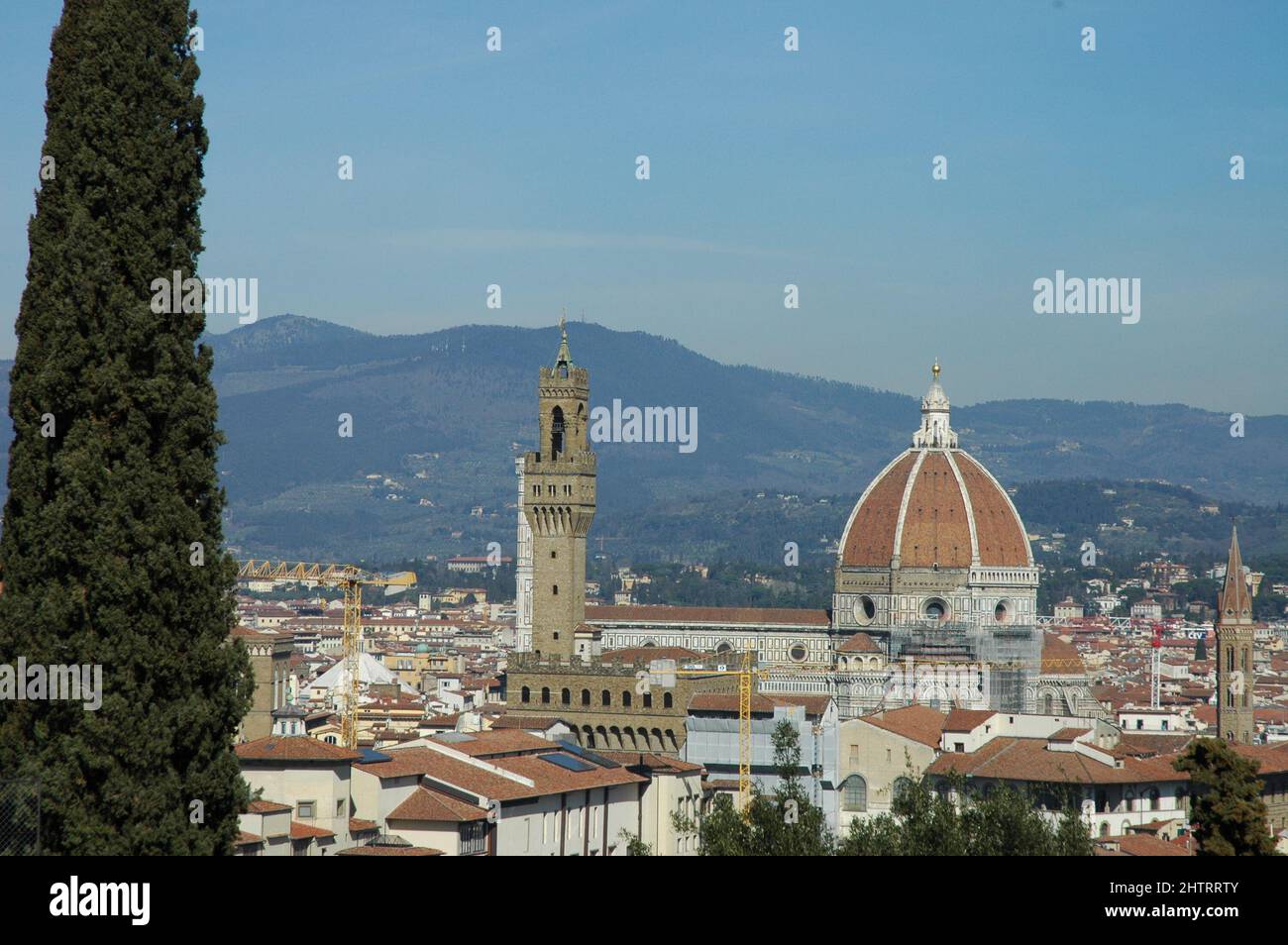 Panorama du centre de Florence depuis la Villa Bardini et avec le cyprès en vue Banque D'Images