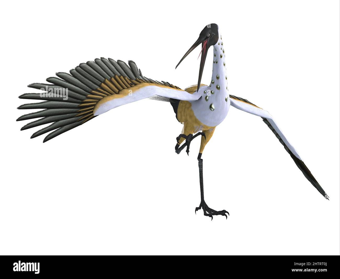 Les Stymphaliens Birds étaient un groupe d'oiseaux voraces dans la mythologie grecque qui mangeaient des humains et vivaient dans des marécages. Banque D'Images