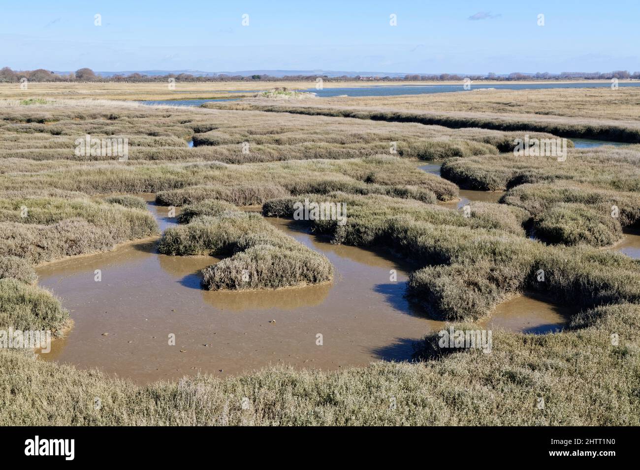 Bassins de saltmarsh partiellement remplis par une marée montante, réserve naturelle de RSPB Pagham Harbour, West Sussex, Royaume-Uni, février. Banque D'Images