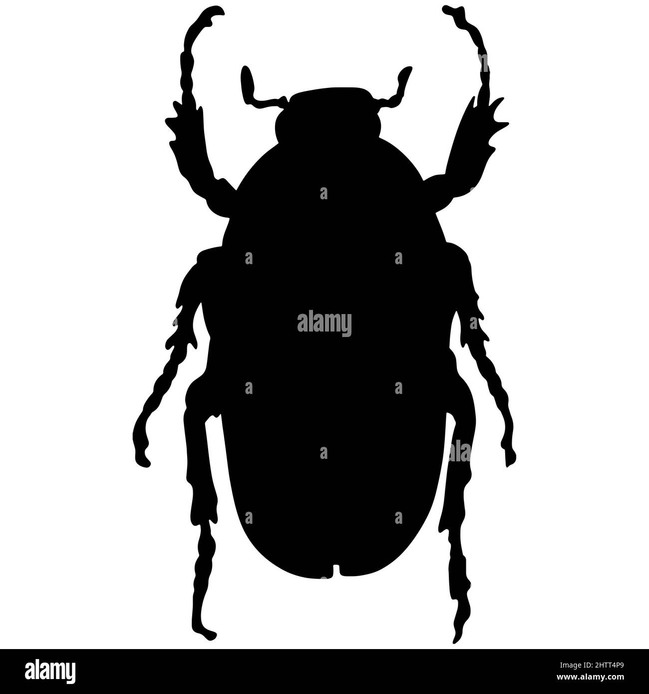 Illustration noire d'un coléoptère tropical. L'insecte est un ravageur des forêts et des jardins. Dessin pour tatouage Banque D'Images