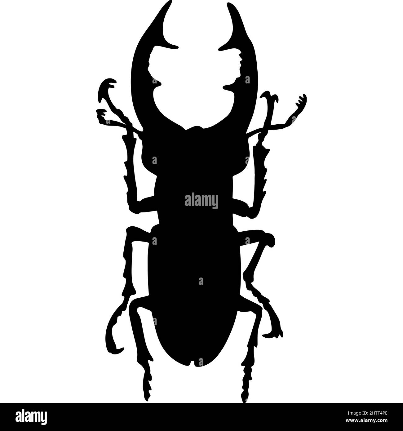 Illustration noire d'un coléoptère tropical. L'insecte est un ravageur des forêts et des jardins. Dessin pour tatouage Banque D'Images