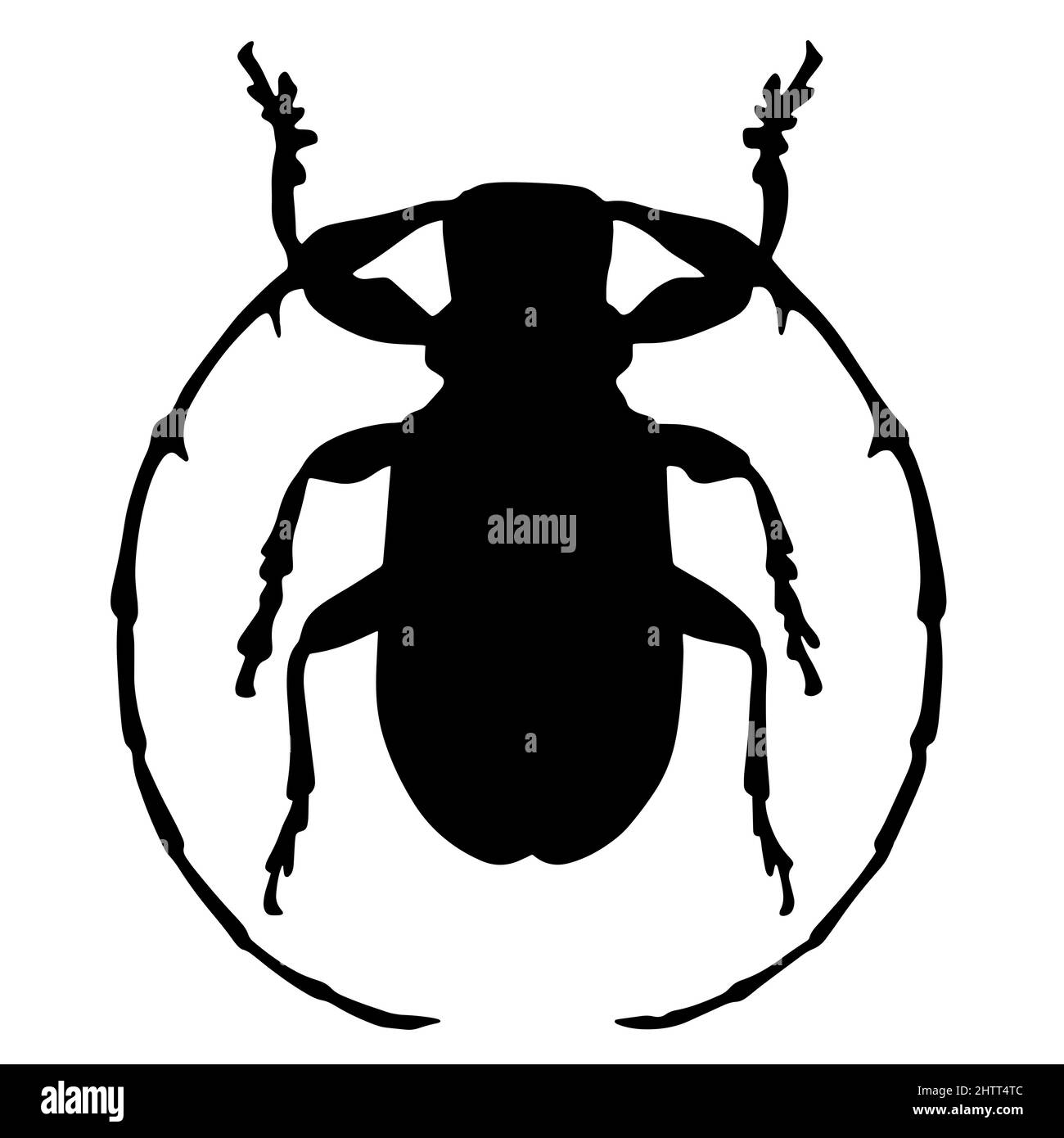 Le coléoptère du bois. Le coléoptère de l'écorce est un ravageur de la forêt. Un insecte avec de longs whiskers. Les habitants volants des tropiques ou de la taïga Banque D'Images