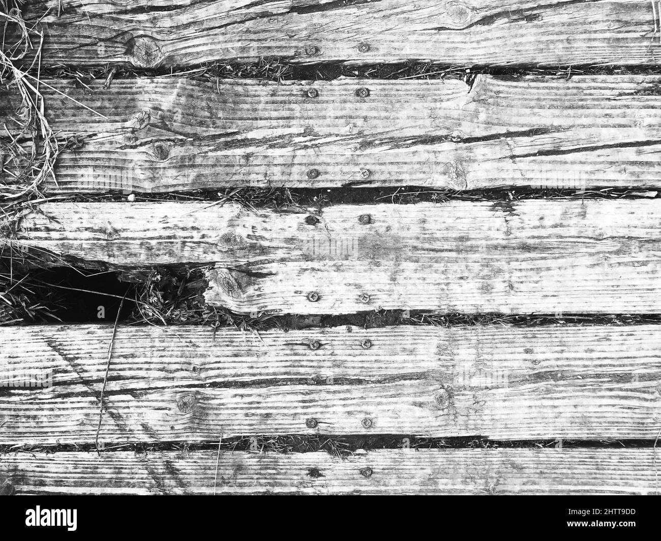 gros plan sur un panneau en bois montrant une macro d'arrière-plan photographique de texture avec un espace de copie par le dessus Banque D'Images