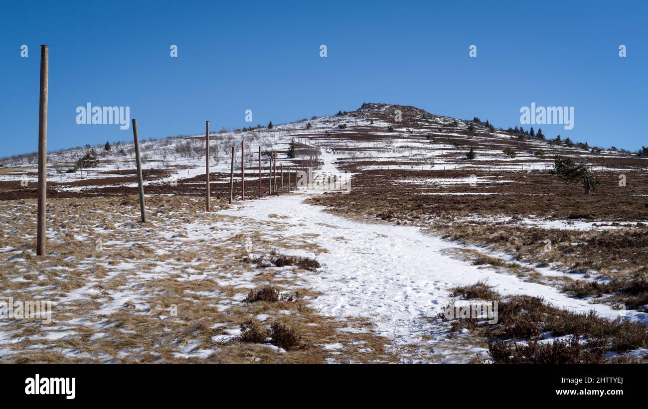 Paysage d'hiver au Col du Béal, Monts de Forez, France Banque D'Images