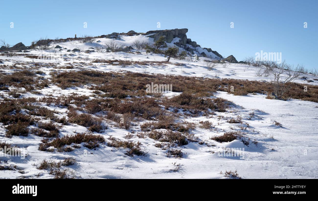 Paysage d'hiver au Col du Béal, Monts de Forez, France Banque D'Images
