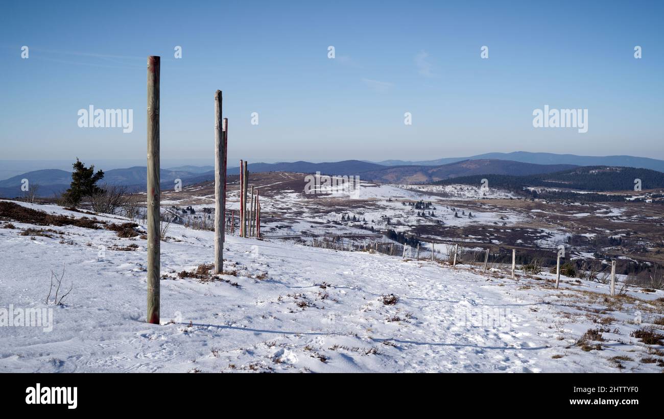 Paysage d'hiver au Col du Béal, Monts de Forez, France Banque D'Images