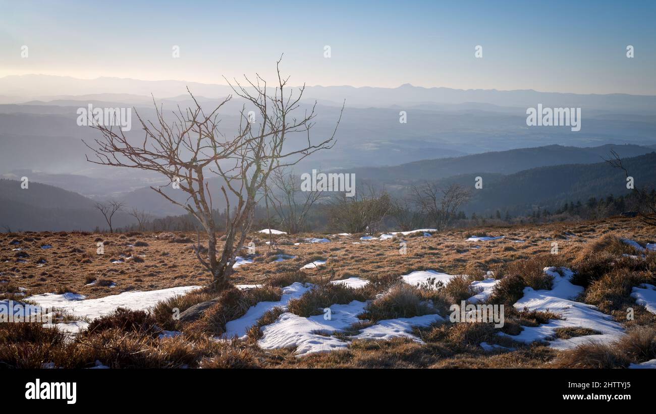Paysage d'hiver au Col du Béal, Monts de Forez, France Banque D'Images