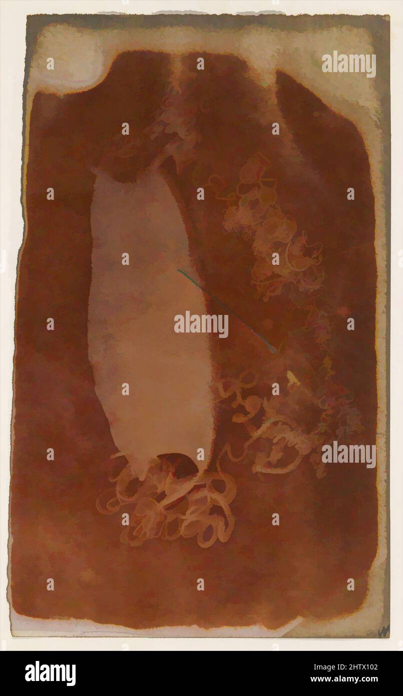Art inspiré par Shark Egg case, 1840–45, négatif à dessin photogénique, image : 7 3/8 × 4 1/2 po. (18,7 × 11,4 cm), rognée irrégulièrement, négatifs, Inconnu (Britannique), cette feuille a été montée avec cinq autres dessins photogéniques de fleurs, feuilles, et touches sur une page d'un album de tirages, oeuvres classiques modernisées par Artotop avec une touche de modernité. Formes, couleur et valeur, impact visuel accrocheur sur l'art émotions par la liberté d'œuvres d'art d'une manière contemporaine. Un message intemporel qui cherche une nouvelle direction créative. Artistes qui se tournent vers le support numérique et créent le NFT Artotop Banque D'Images