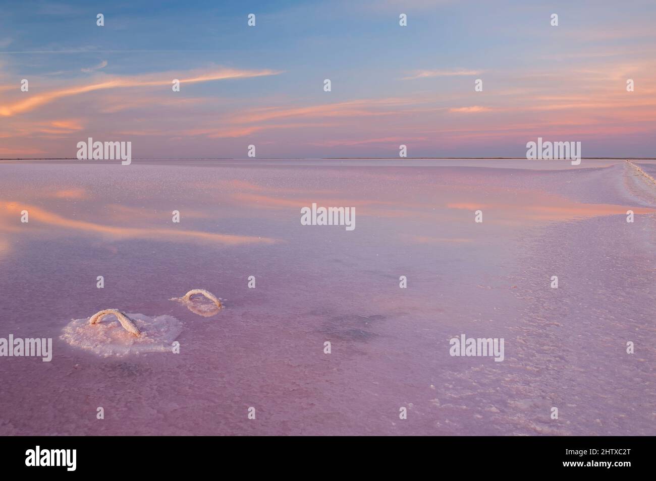 Reflets de couleur de coucher de soleil dans le lac salé, le lac Tyrrell, montrant une belle nuance de rose Banque D'Images Reflets de couleur de coucher de soleil dans le lac salé, le lac Tyrrell, montrant une belle nuance de rose Banque D'Images