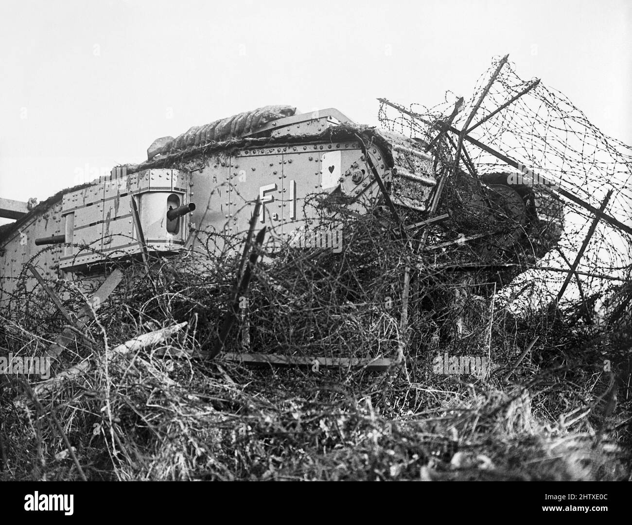 Un char s'écrasant à travers des barbelés à l'école de conduite de chars pendant l'entraînement spécial pour la bataille de Cambrai à Wailly, 21 octobre 1917. Banque D'Images