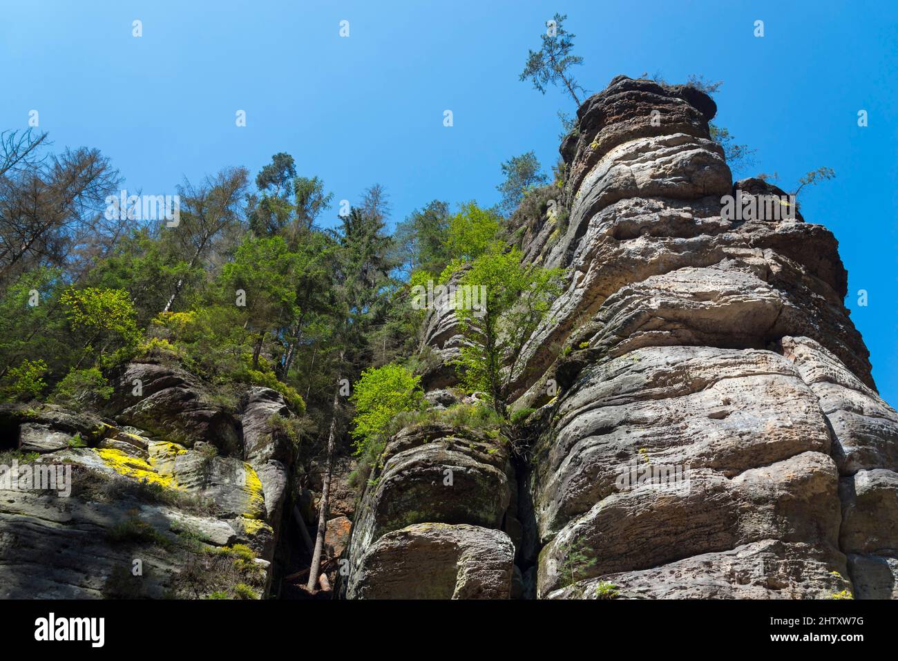 Rochers dans la vallée de Kamenice, Edmundsklamm, rivière Kamenice, Kamnitz, Hrensko, Herrnskretschen, Okres Decin, Ustecky kraj, Bohemian Banque D'Images