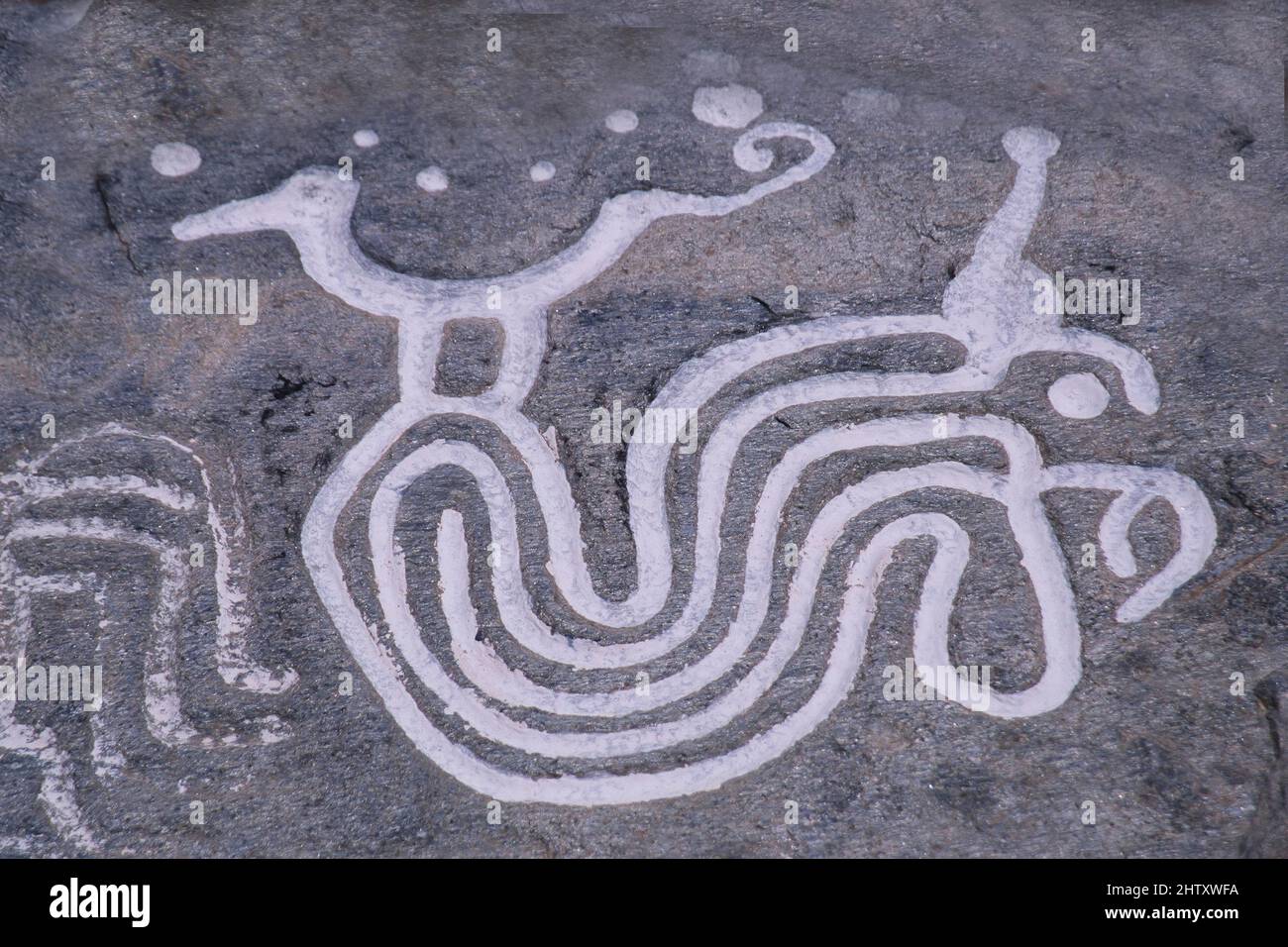 Pétroglyphes de Vigirima, également connu sous le nom de Pierre peinte de Tronconero, site archéologique de Piedra Pintada, parc national de San Esteban, état de Carabobo Banque D'Images
