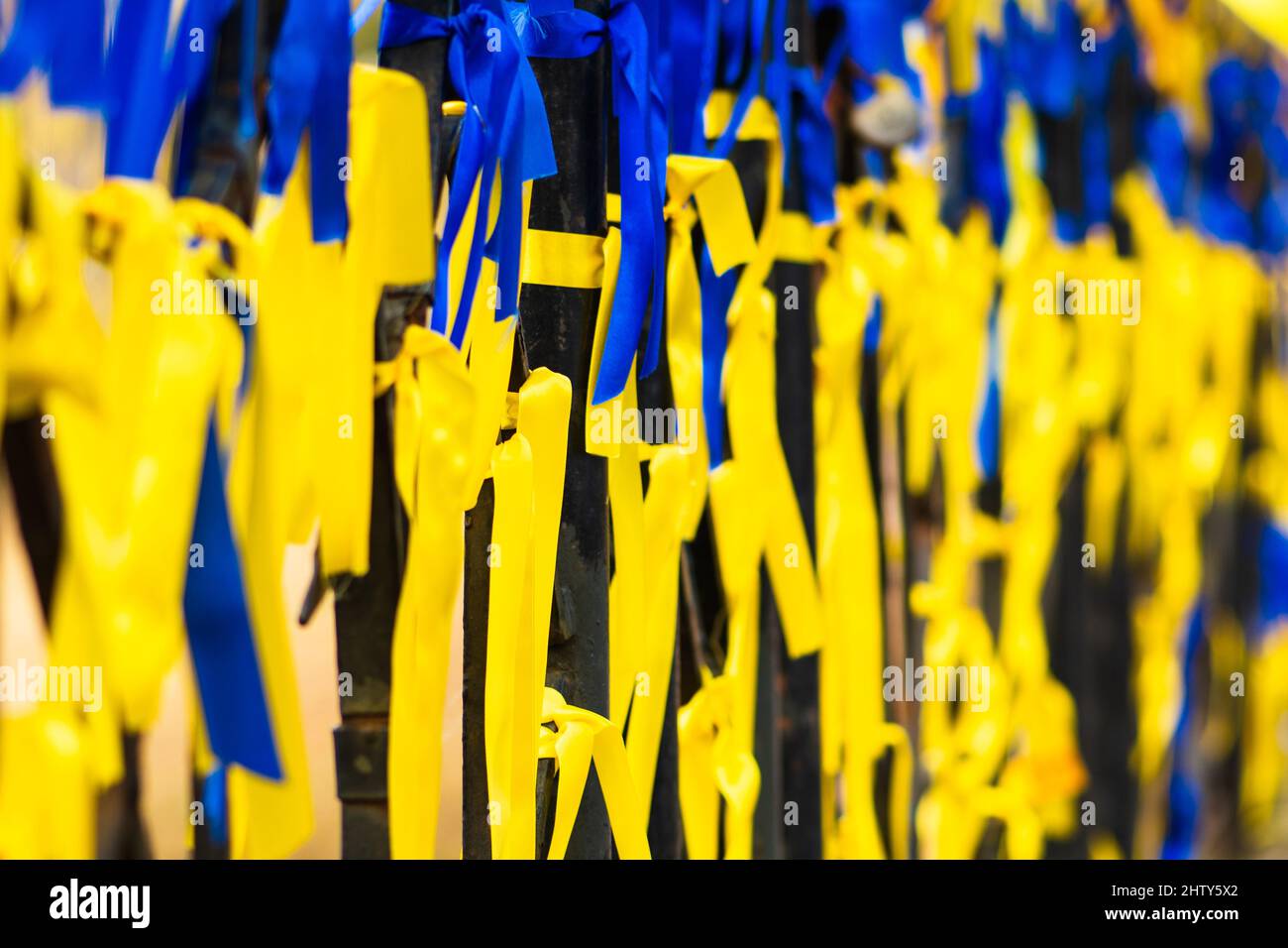Rubans aux couleurs de l'Ukraine lors d'une manifestation pacifique contre la guerre, toile de fond du drapeau ukrainien Banque D'Images