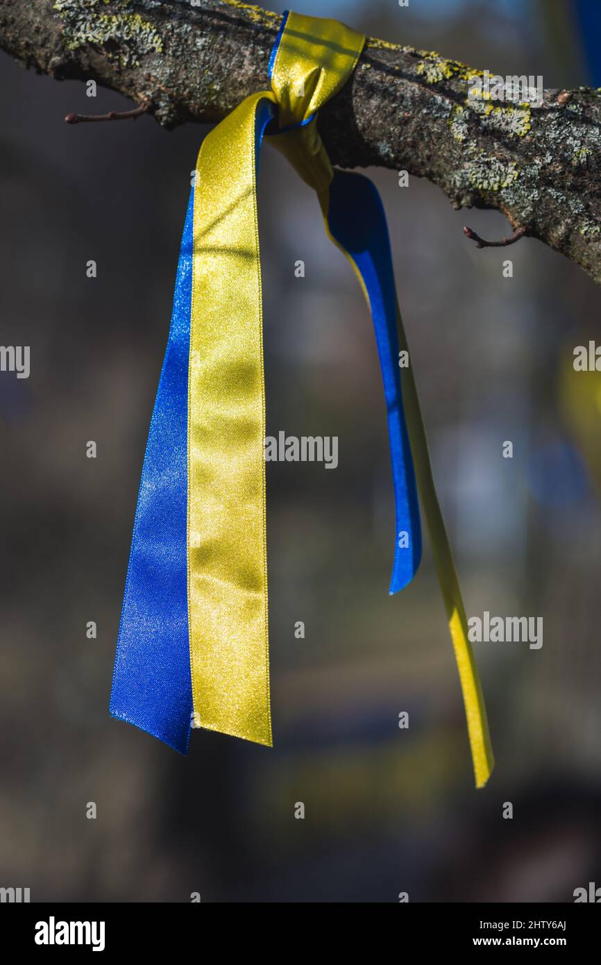 Rubans sur une branche d'un arbre aux couleurs de l'Ukraine lors d'une manifestation pacifique contre la guerre, Poutine et la Russie, verticale Banque D'Images