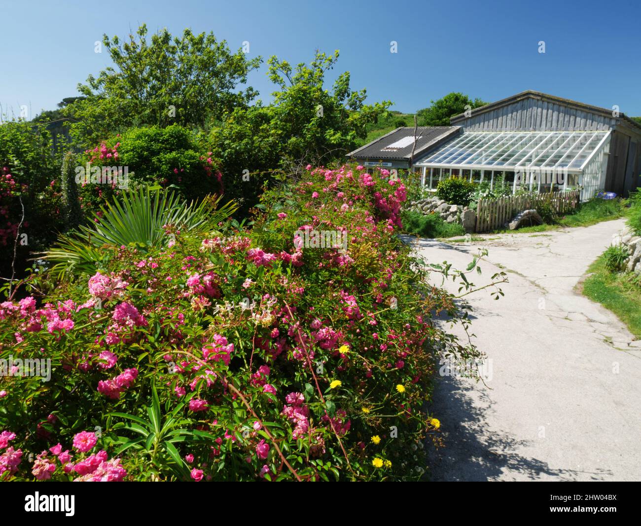 Centre Ville, St Martin's, Îles Scilly. Banque D'Images