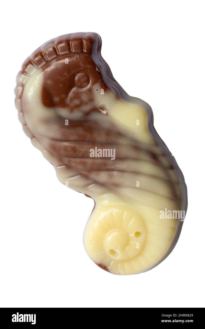 Chocolats belges Guylian coquillages mouettes de chocolat mousettes isolées sur fond blanc - chocolats belges les plus fins avec garniture de praline de noisette Banque D'Images