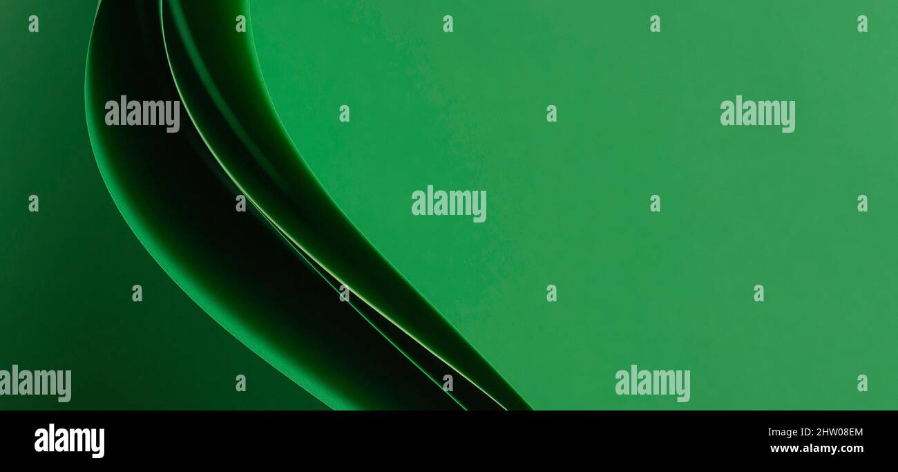 Arrière-plan abstrait de la composition de la géométrie du papier monochrome. Lignes et formes courbes sur fond vert Banque D'Images