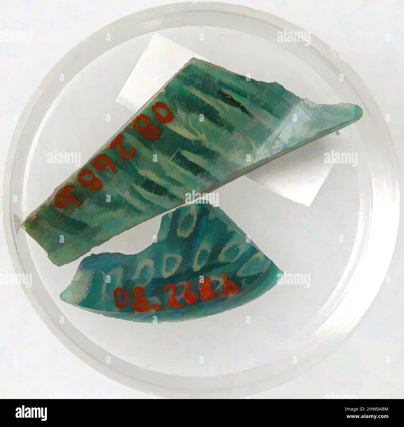 Art inspiré par des fragments de verre, 4th–début du 5th siècle, fait à Kharga Oasis, Égypte byzantine, copte, verre (vert), stockage (boîte de Petri diam.): 1 3/4 po. (4,4 cm), verre, oeuvres classiques modernisées par Artotop avec une touche de modernité. Formes, couleur et valeur, impact visuel accrocheur sur l'art émotions par la liberté d'œuvres d'art d'une manière contemporaine. Un message intemporel qui cherche une nouvelle direction créative. Artistes qui se tournent vers le support numérique et créent le NFT Artotop Banque D'Images