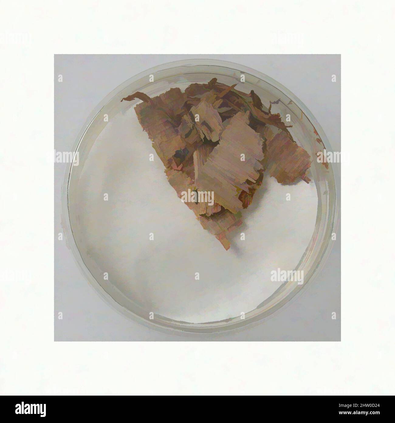 Art inspiré par des fragments de Papyri, 7th siècle, fait à Thèbes, Égypte byzantine, copte, Papyrus et encre, stockage (boîte de Petri) : 1 13/16 po. (4,6 cm), Papyrus, oeuvres classiques modernisées par Artotop avec une touche de modernité. Formes, couleur et valeur, impact visuel accrocheur sur l'art émotions par la liberté d'œuvres d'art d'une manière contemporaine. Un message intemporel qui cherche une nouvelle direction créative. Artistes qui se tournent vers le support numérique et créent le NFT Artotop Banque D'Images