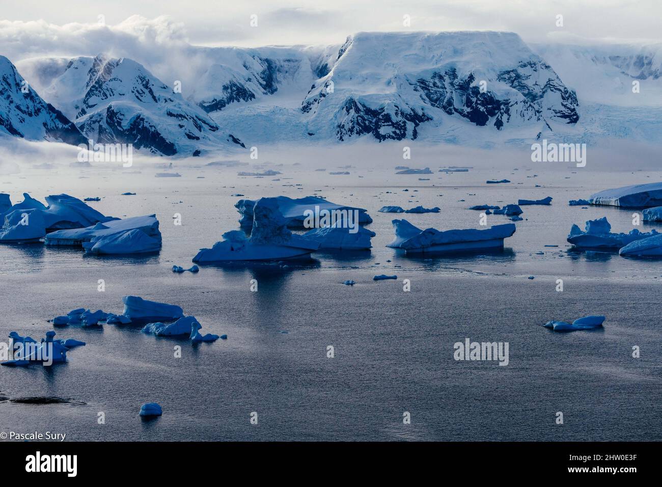 L’Antarctique Banque D'Images