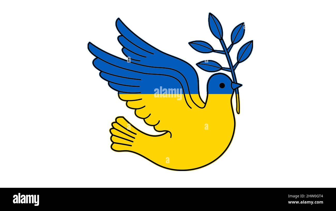 Peace Dove concept de guerre entre la Russie et l'Ukraine sur fond de drapeau national Banque D'Images