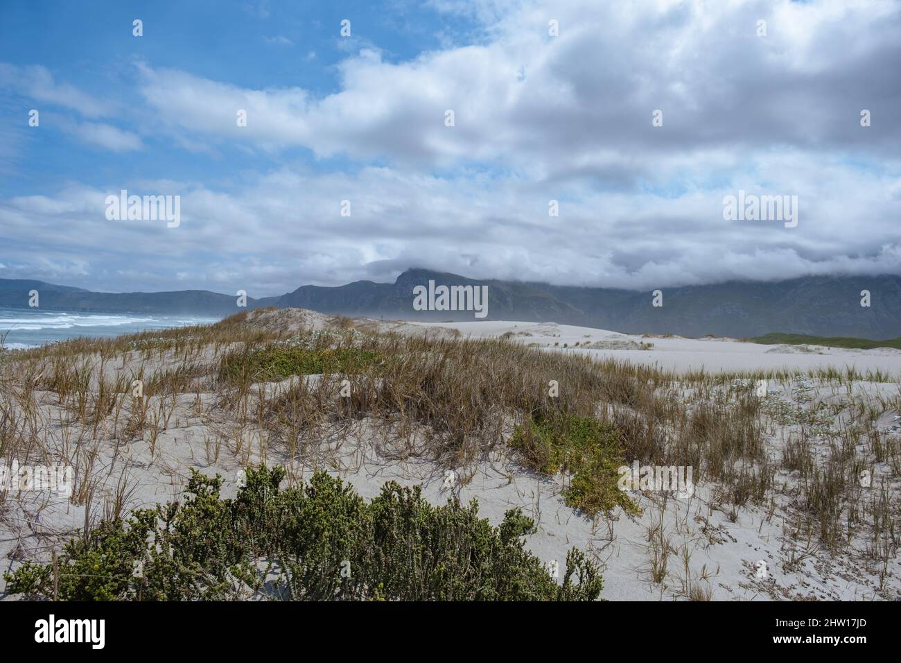 Cape nature Walker Bay Beach près de Hermanus Western Cape Afrique du Sud. Plage blanche et ciel bleu avec nuages, dunes de sable à la plage en Afrique du Sud Banque D'Images