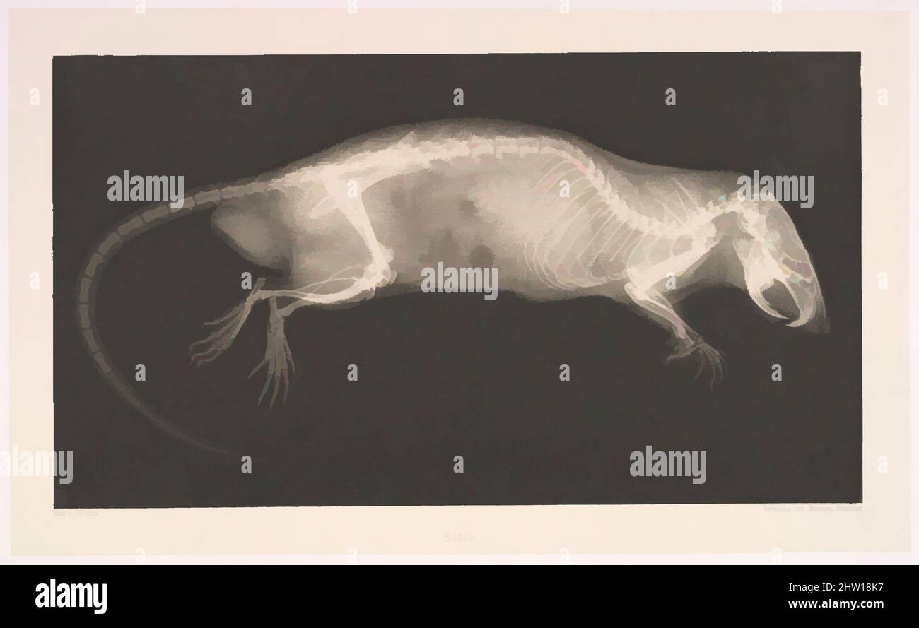 Art inspiré par Ratte, 1896, Photogravure, image : 5 7/16 × 9 3/4 po. (13,8 × 24,8 cm), photographies, Josef Maria Eder (autrichien, Krems an der Donau, 1855–1944 Kitzbühel) et Eduard Valentita (autrichien, 1857–1937), Eder a été le directeur d'un institut pour les processus graphiques et l'auteur, des œuvres classiques modernisées par Artotop avec un peu de modernité. Formes, couleur et valeur, impact visuel accrocheur sur l'art émotions par la liberté d'œuvres d'art d'une manière contemporaine. Un message intemporel qui cherche une nouvelle direction créative. Artistes qui se tournent vers le support numérique et créent le NFT Artotop Banque D'Images