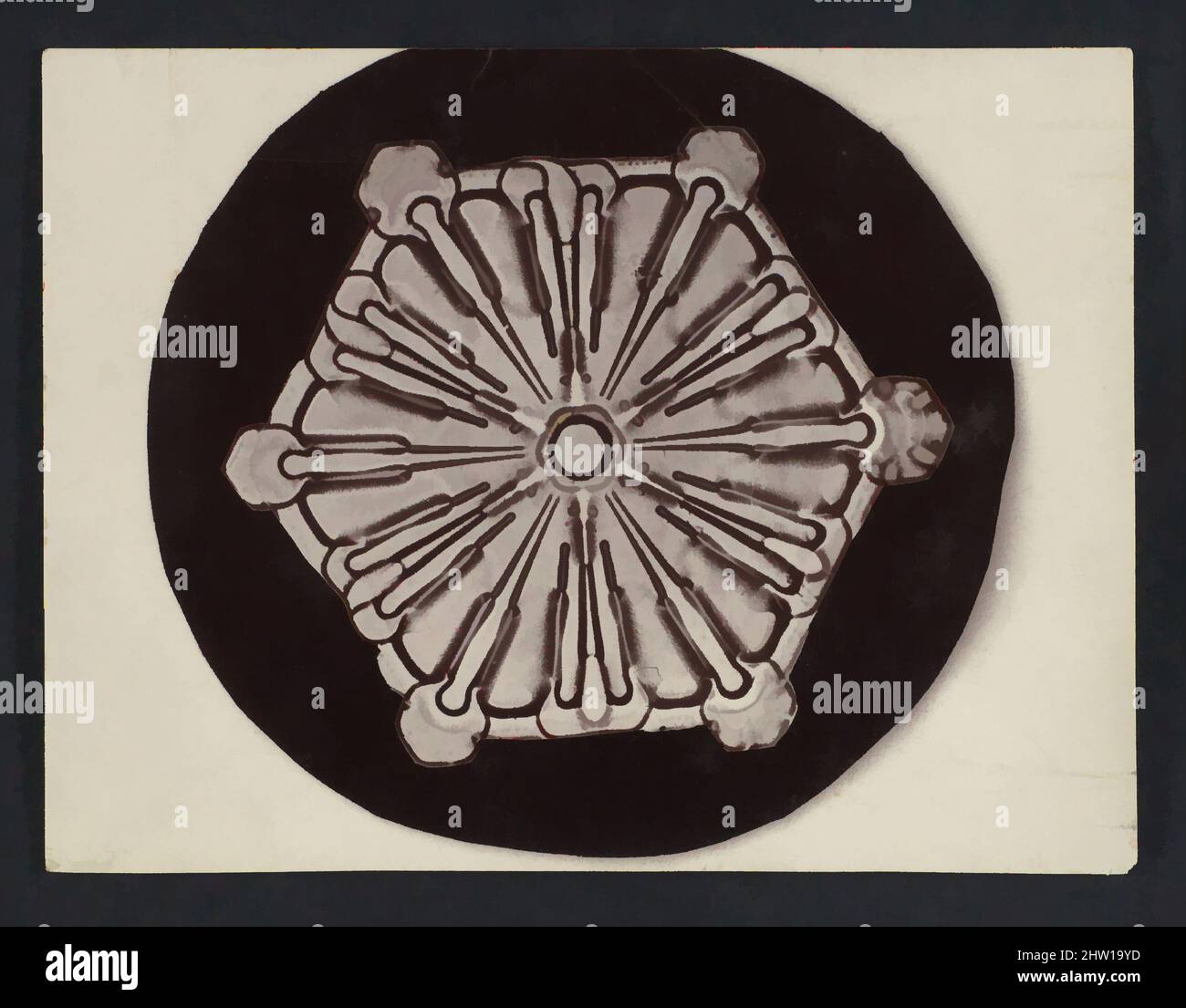 Art inspiré par le cristal de neige, 1890s–1920s, imprimé argent Gelatin, image : 2 15/16 × 3 1/8 po. (7,4 × 8 cm), photographies, Wilson Alwyn Bentley (cuisine américaine, 1865–1931, œuvres classiques modernisées par Artotop avec une touche de modernité. Formes, couleur et valeur, impact visuel accrocheur sur l'art émotions par la liberté d'œuvres d'art d'une manière contemporaine. Un message intemporel qui cherche une nouvelle direction créative. Artistes qui se tournent vers le support numérique et créent le NFT Artotop Banque D'Images