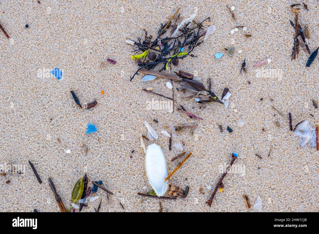 France, Charente Maritime, Ile d'OL?ron, pollution de la plage par les micro-plastiques Banque D'Images