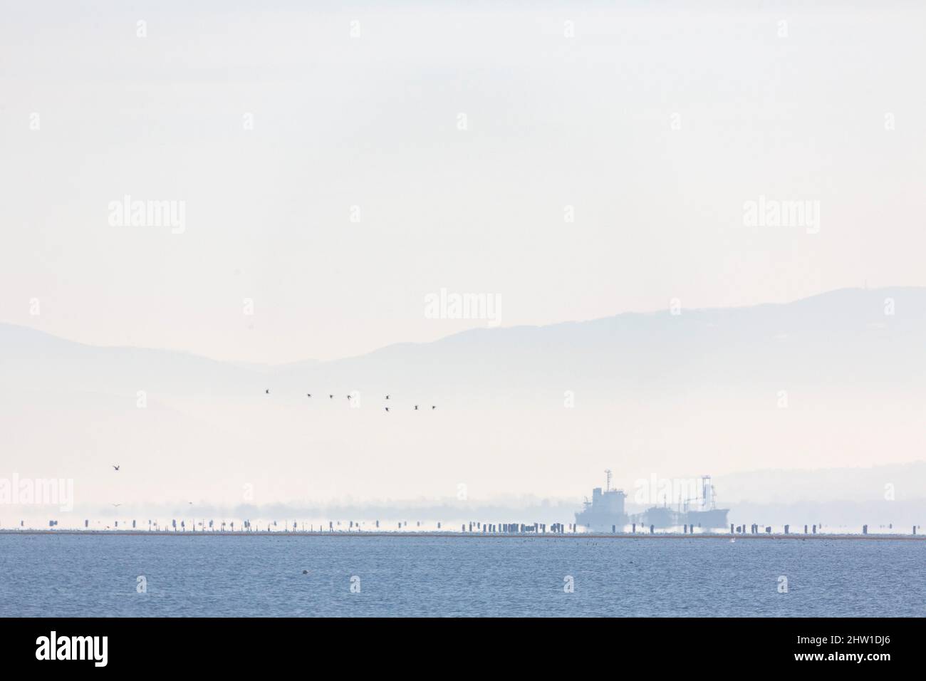 Grèce, Macédoine, Thessalonique, Parc National du Delta d'Axios, Parc National de Grèce, créé en 2008, étant l'une des plus grandes zones humides protégées d'Europe. Il abrite de nombreuses espèces d'oiseaux Banque D'Images