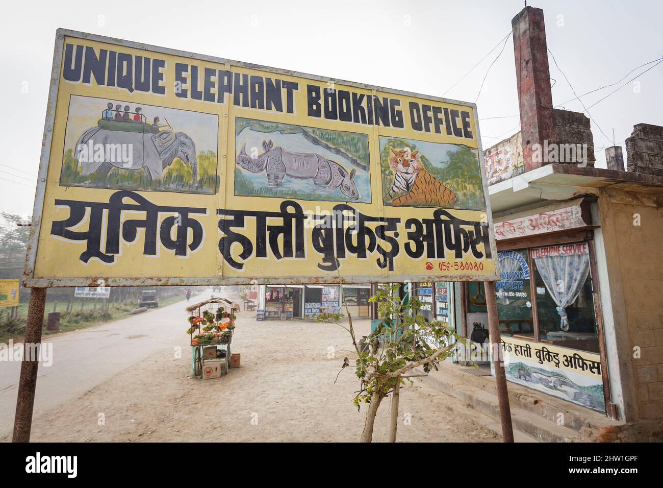 Népal, plaine tropicale de Terai, Sauraha, parc national de Chitwan, affiche publicitaire annonçant l'offre de service d'une agence organisant des promenades à dos d'éléphant pour observer les animaux sauvages Banque D'Images