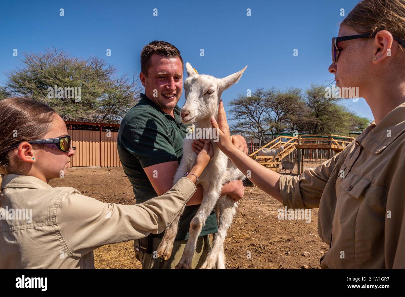 Namibie, région d'Otjozondjupa, Otjiwarongo, Cheetah conservation Fund (CCF), troupeau de chèvres alpines de la ferme modèle du centre utilisé pour expérimenter en conditions réelles avec les nouvelles pratiques agricoles plus diversifiées et plus sûres préconisées par le CCF Banque D'Images