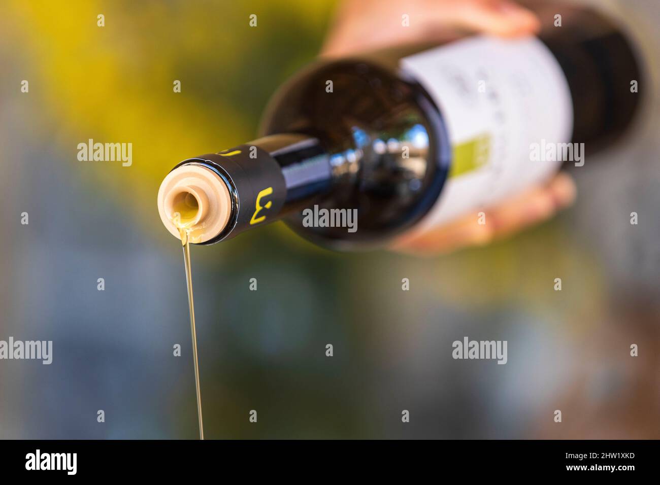 France, Bouches du Rhône, Parc naturel régional des Alpilles, Aureille, huile d'olive de Maricera, producteurs Emilie et Nicolas Racamier Banque D'Images