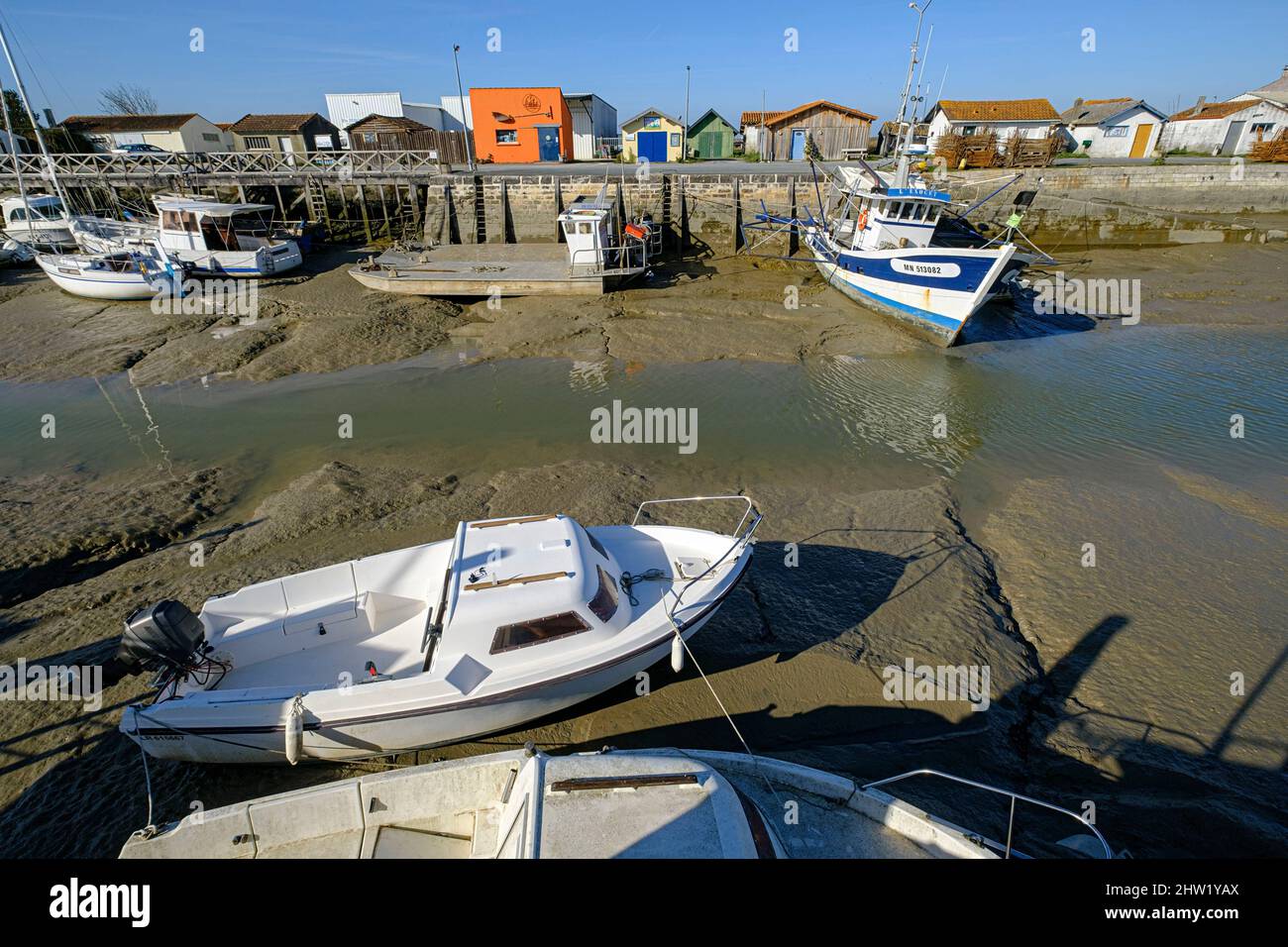 France, Charente-Maritime, Saintonge, l'Eguille-sur-Seudre Banque D'Images