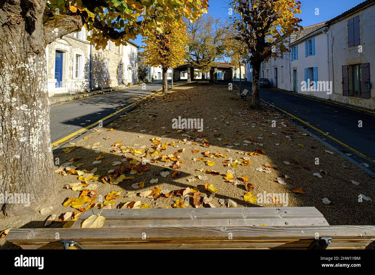 France, Charente-Maritime, Saintonge, Mornac-sur-Seudre, les plus beaux villages de France, vieille ville Banque D'Images